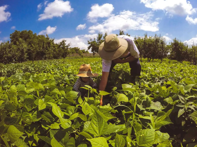 G20 social insiste em afirmar que agricultura familiar produz 80% dos alimentos